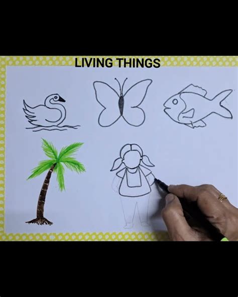 draw living things|How To Draw Animals Archives .